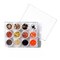 Buttons Galore Fall Halloween Embellishment Assortment for Crafts - 12 Colors